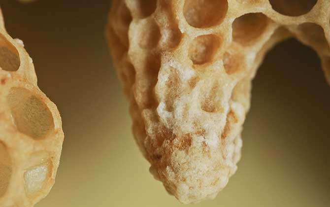 蜂王一般多少錢一只? 蜂王多少錢一只