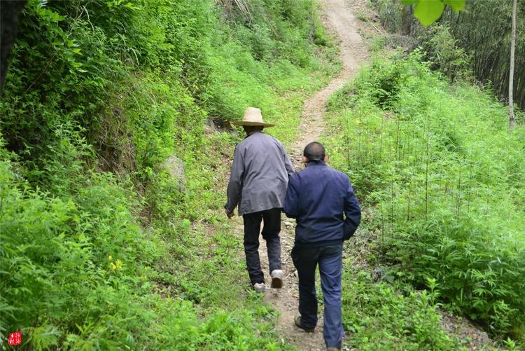 81歲老人養(yǎng)蜂半世紀，自創(chuàng)多種養(yǎng)蜂工具，怕蜜蜂丟失樹下睡3個月