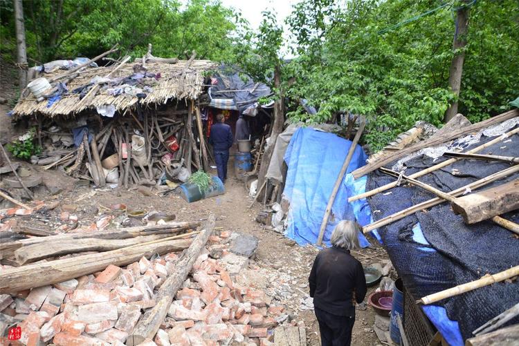 81歲老人養(yǎng)蜂半世紀，自創(chuàng)多種養(yǎng)蜂工具，怕蜜蜂丟失樹下睡3個月